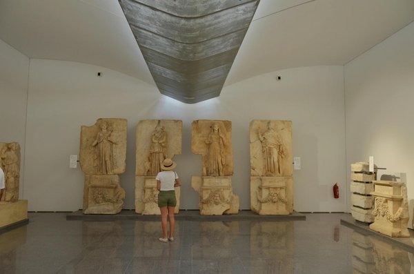 La Richesse de la Biodiversité : Clé du Développement Durable Innovant