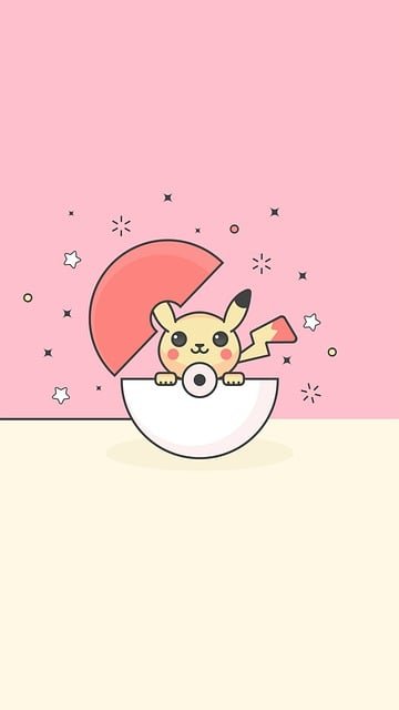 Découvrez les displays pokémon qui font rêver les collectionneurs !